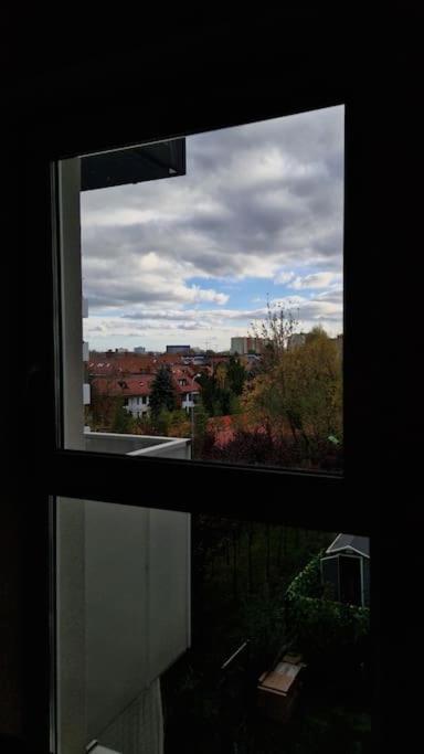 Cichy Na Skraju Parku Slaskiego * Katowice
