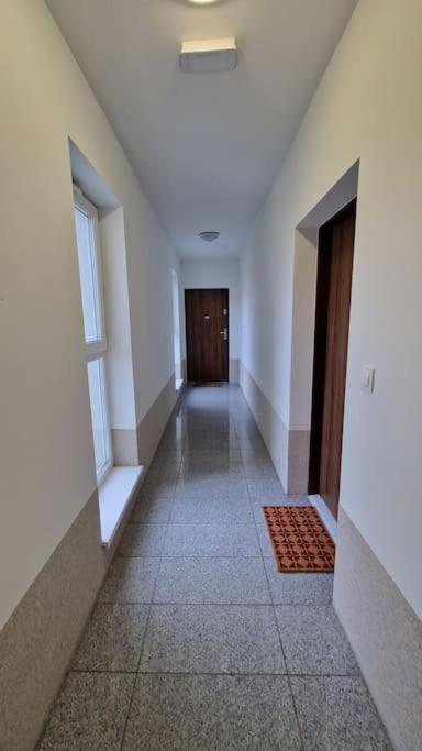 Apartament Cichy Na Skraju Parku Slaskiego Katowice